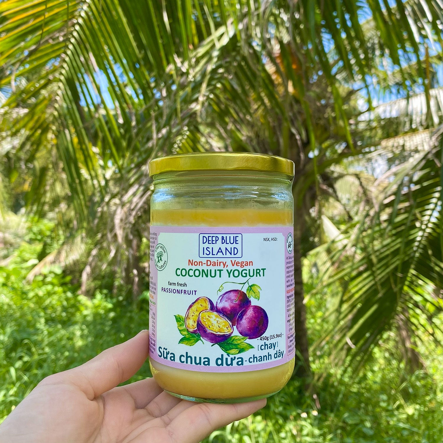 Non-dairy, Vegan Passionfruit Coconut Yogurt in Vietnam – Daissy