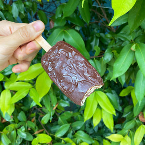 Vegan ice cream - Peanut buttter chocolate