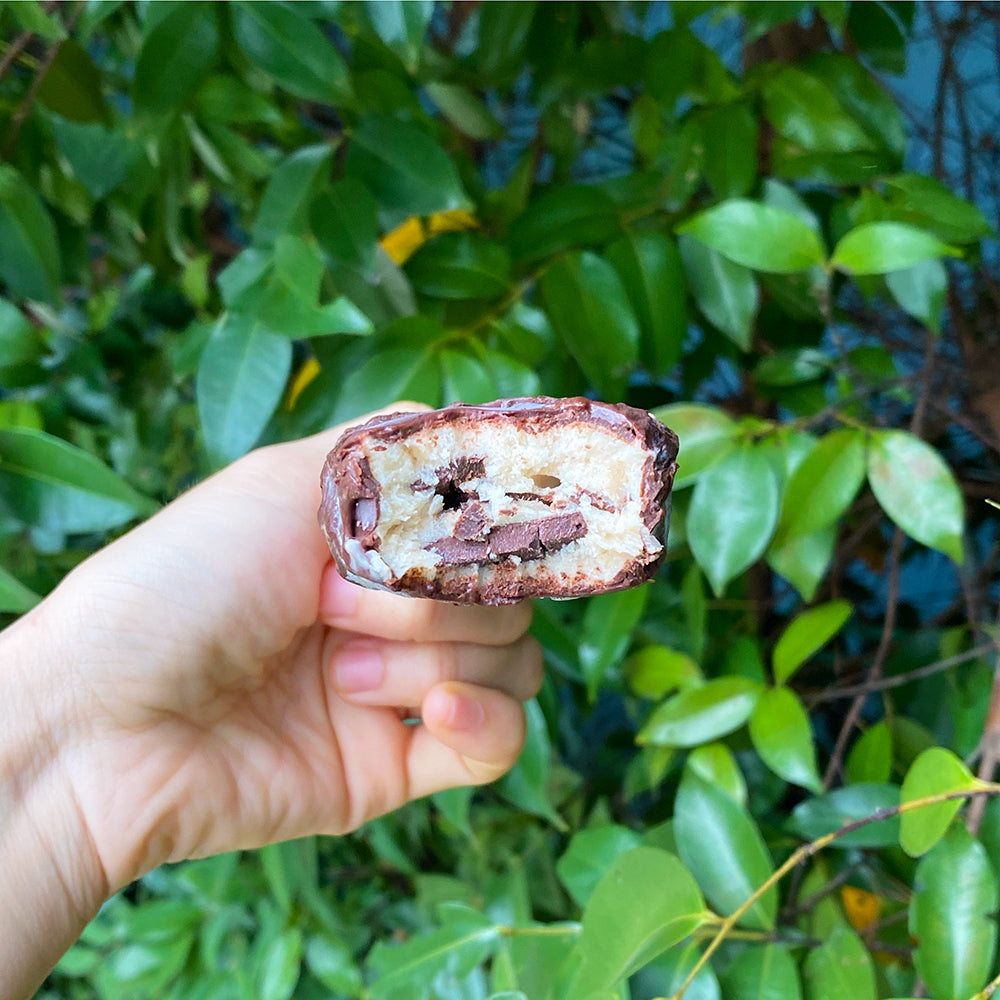Vegan Ice Cream Bars - Peanut Buttter Chocolate