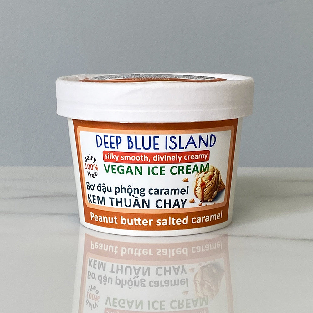 Vegan Ice Cream - Peanut butter salted caramel