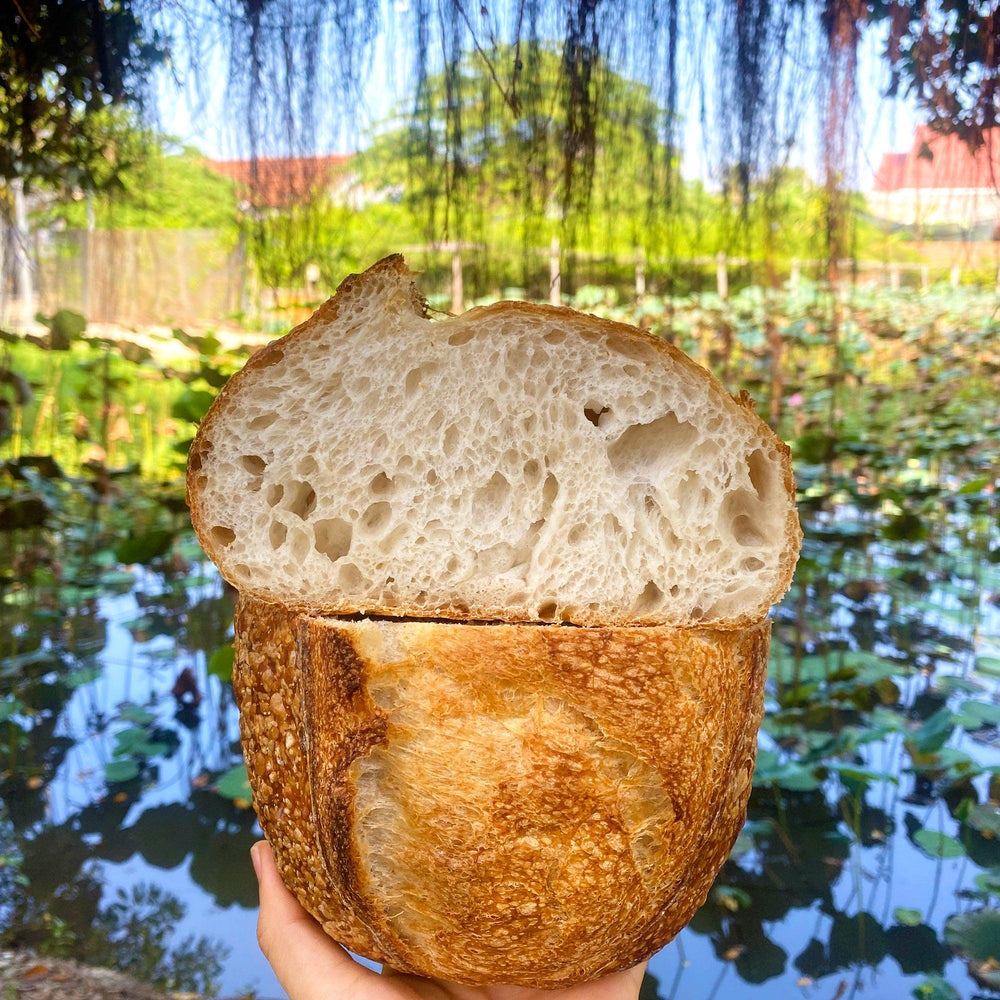 Sourdough bread - Country - Daissy Whole Foods