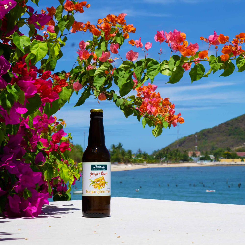 Daissy ginger beer in an amber glass bottle with colorful bougainvillea, mountain, sea, sky in the background