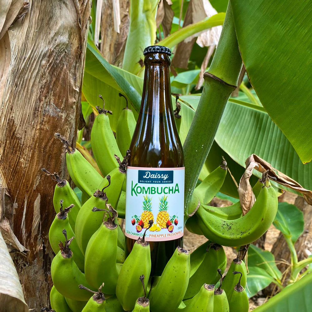 Kombucha Dứa Chanh Leo