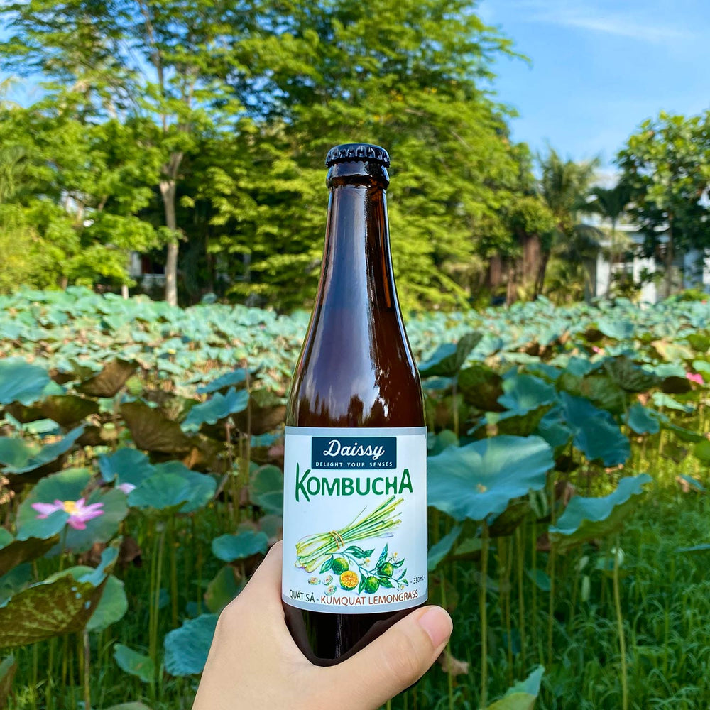 Kombucha Quất Sả