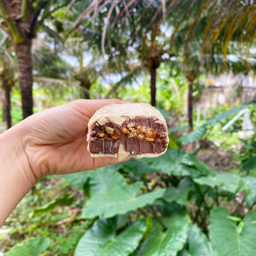 Vegan Ice Cream Bars - Cashew Cacao Salted Caramel