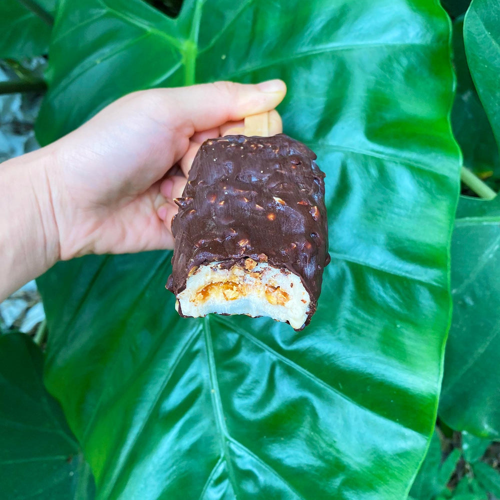 Vegan Ice Cream Bars - Peanut Butter Salted Caramel