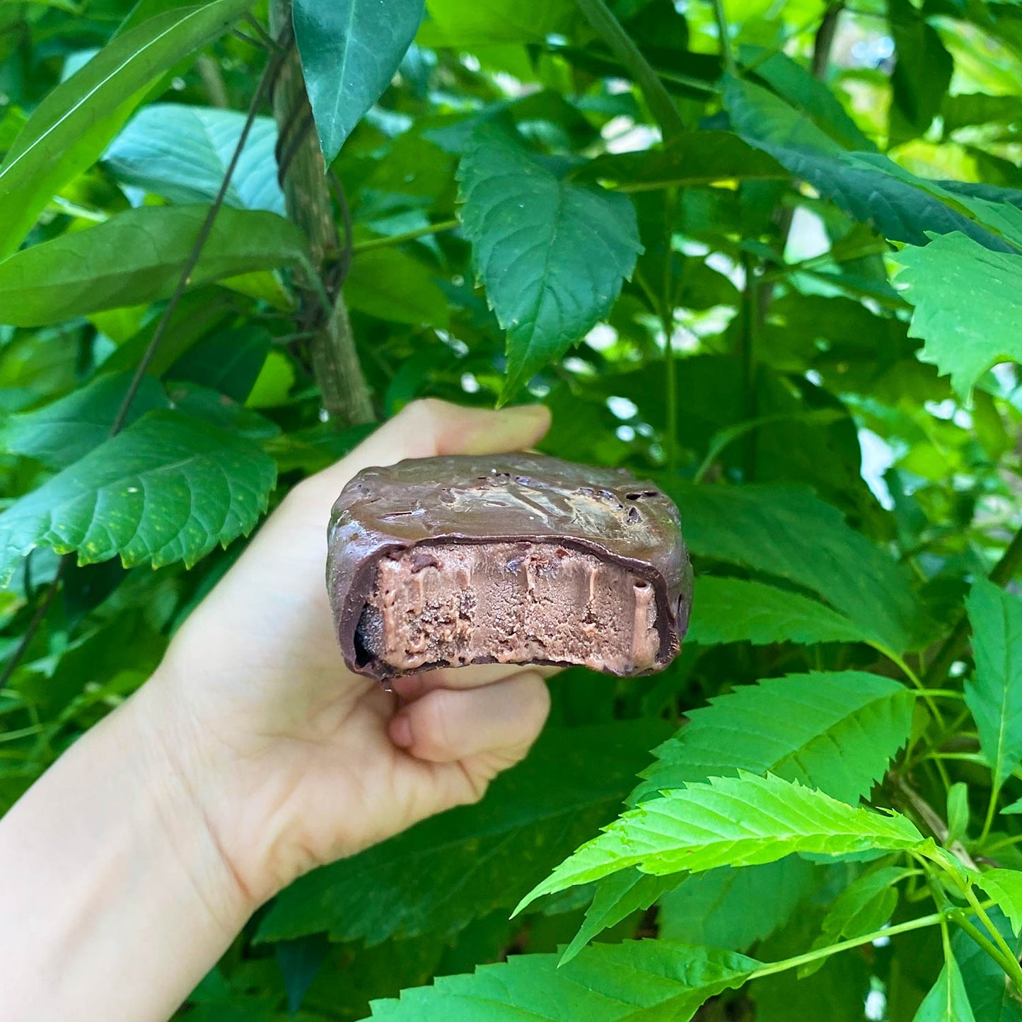 Vegan Ice Cream Bars - Double Chocolate