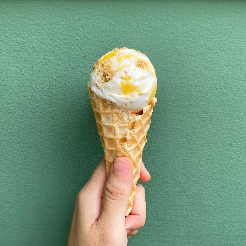 
                      
                        Vegan Ice Cream - Passionfruit Cream Cheese
                      
                    