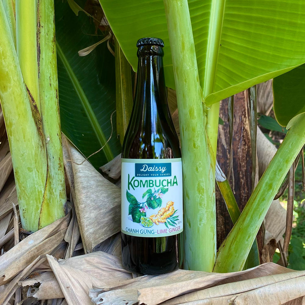 Kombucha - Lime Ginger