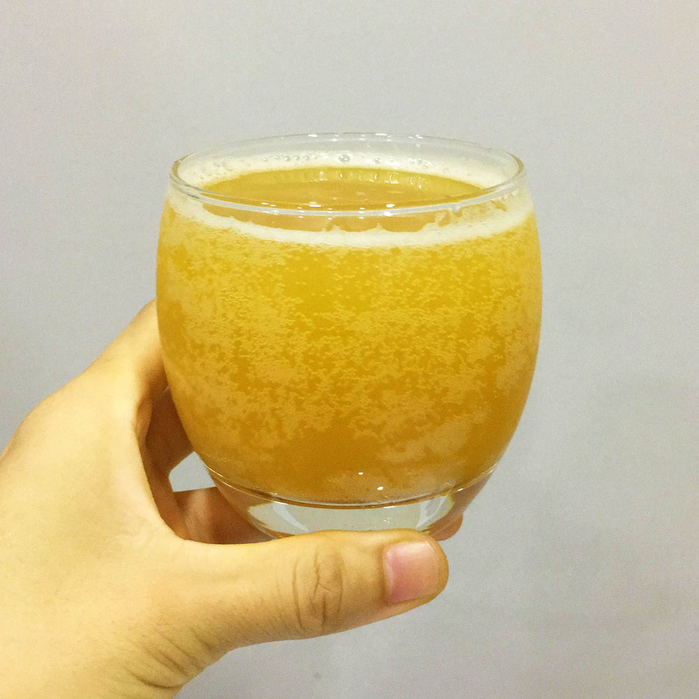 Kombucha Nghệ Gừng