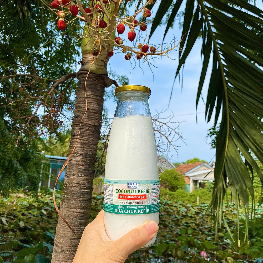 Sữa Chua Kefir Dừa Chay - Nguyên Bản Không Đường