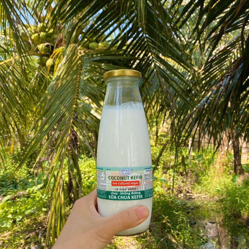 
                      
                        Sữa Chua Kefir Dừa Chay - Nguyên Bản Không Đường
                      
                    