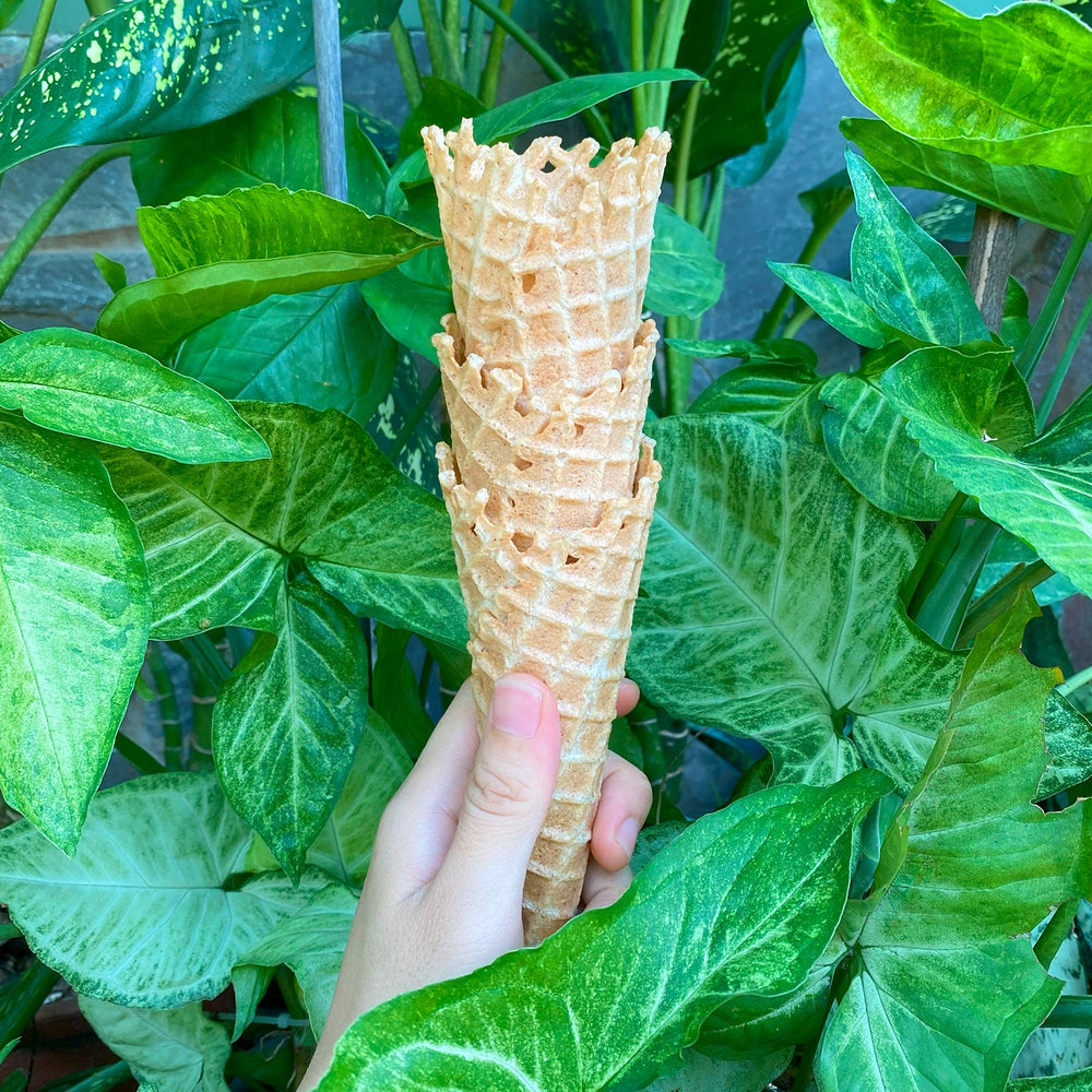 GLUTEN-FREE VEGAN ICE CREAM CONES